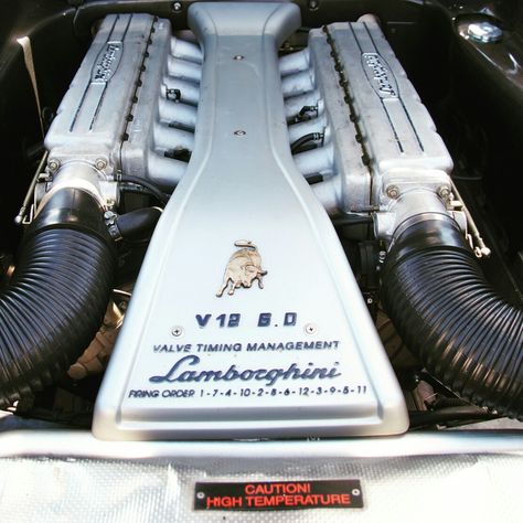 V12 Lamborghini Firing Order V12 Engine Wallpaper, Lamborghini Engine, V12 Engine, Lamborghini Countach, Italian Cars, Koenigsegg, Car Engine, Car Wallpapers, Beautiful Cars