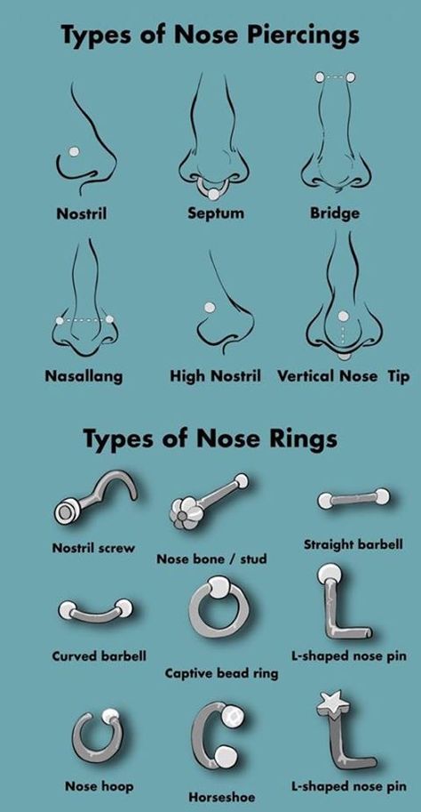 Height Exercise, Orr Piercing, Piercing Bouche, Cute Nose Piercings, Ear Piercings Chart, Piercing Chart, Types Of Ear Piercings, Nostril Piercing, Septum Piercings