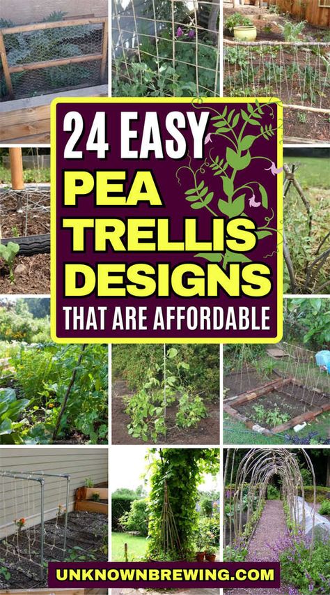 Peas Trellis Diy, Pea Trellis Diy, Diy Pea Trellis, Pea Trellis Ideas, Trellis For Peas, Homemade Trellis, Garden Trellis Designs, Diy Trellis Ideas, Vertical Growing