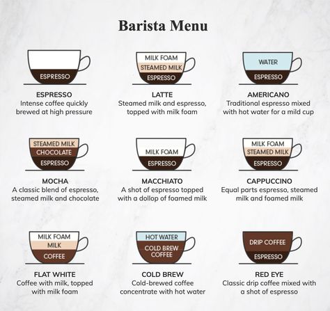 Barista Coffee Guide, Barista Beginner, Coffee Instructions, Coffee Barista Art, Brand Planning, Coffee Chart, Homemade Coffee Drinks, Coffee Infographic, Coffee Shop Menu