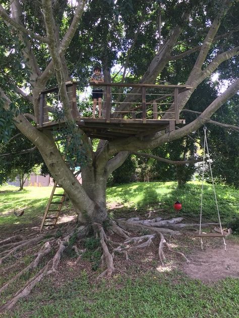 Tree Swings For Kids, Hangout Spot Ideas Outside, Diy Tree House Ideas, Adult Tree House Backyards, Tree House Simple, Woods Hangout Spot, Simple Treehouse, Tree Platform, Ewok Village