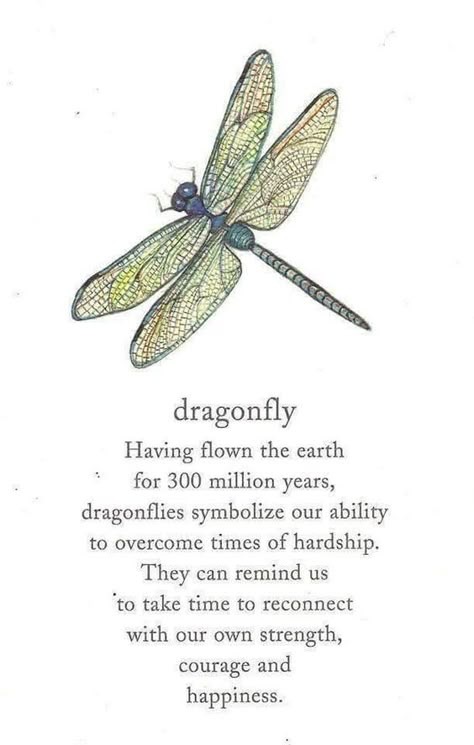 Tattoos Meaning Strength, Dragonfly Quotes, Dragon Flies, Spiritual Tattoos, Dragonfly Tattoo, Symbols And Meanings, Dragon Fly, A Poem, Tattoos With Meaning