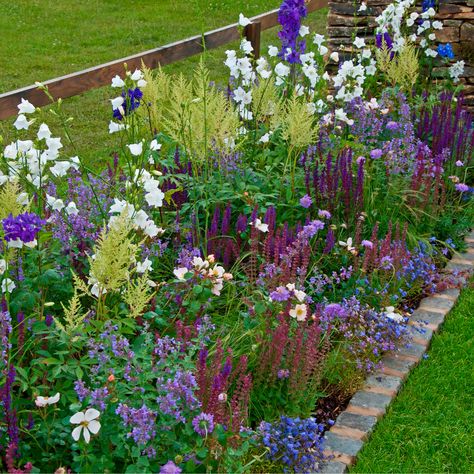 Small Garden Borders, Cottage Garden Borders, Narrow Garden, Hardy Geranium, Theater Design, Garden Border, Border Plants, Plant Ideas, Herbaceous Perennials