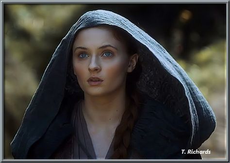 Sansa as Alayne...she looked so gorgeous here Sophie Turner Gif, Sansa Stark Gif, Sansa Stark Art, Better Days Will Come, Alayne Stone, Game Of Thrones Sansa Stark, Sansa Stark Icons, Game Of Thrones Sansa, Cersei Lannister