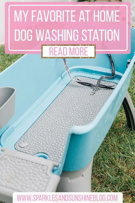 Diy Outdoor Dog Shower Station, Pet Cleaning Station, Outdoor Pet Bathing Station, Outdoor Shower With Dog Wash, Homemade Dog Wash Station, Pet Washing Station Outdoor, Diy Outside Dog Bath, Diy Outdoor Dog Bath, Diy Dog Wash Station Outdoor