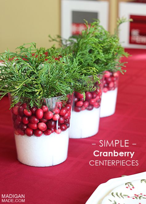 DIY Christmas Centerpieces - Simple Cranberry Centerpieces - Simple, Easy Holiday Decorating Ideas on A Budget - Cheap Home and Table Decor for The Holidays - Dollar Store Crafts, Rustic Candles, Pine Cones, Floral Ideas and Mason Jar Craft Projects http://diyjoy.com/diy-christmas-centerpieces Cranberry Centerpiece, Holiday Mason Jar, Tafel Decor, Christmas Table Centerpieces, Christmas Centerpieces Diy, Cheap Christmas, Holiday Centerpieces, Simple Holidays, Noel Christmas