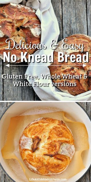 Gluten Free Artisan Bread, Gluten Free Bread Machine, Homemade Gluten Free Bread, Best Gluten Free Bread, Bread Gluten Free, Dutch Oven Bread, Pain Sans Gluten, Artisan Bread Recipes, Gluten Free Recipes Bread