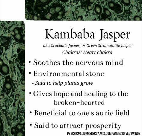 Kambaba Jasper, Crystals Healing Properties, Spiritual Crystals, Life Force Energy, Gemstone Meanings, Crystal Therapy, Oxidized Copper, Crystal Healing Stones, Jewelry Beautiful