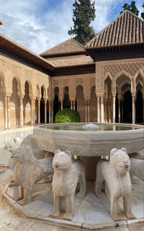 #granada #aesthetic #lion Granada Spain Aesthetic, Spanish Aesthetics, Granada Aesthetic, Aesthetic Lion, Spanish Girl, Spain Aesthetic, Alhambra Granada, Al Andalus, Granada Spain