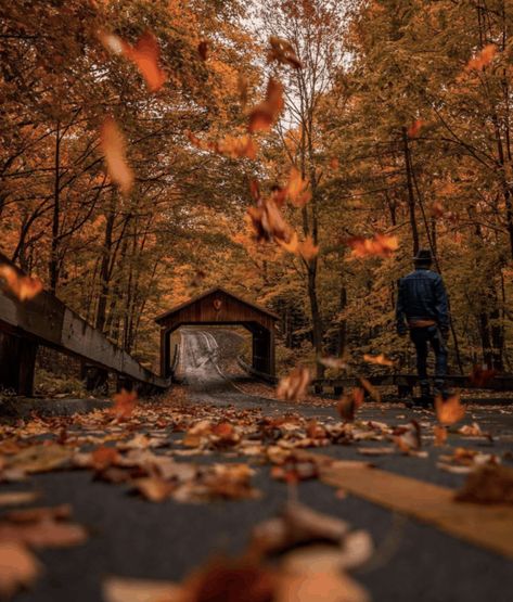 Halloween Live Wallpaper, Fall In Michigan, Fall Journal, Glen Lake, Autumn Landscapes, Autumn Pictures, November Thanksgiving, Michigan Road Trip, Mackinaw City