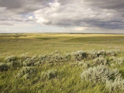 Great Plains Landscape, Air Kingdom, Rendering Textures, Land Forms, Plains Landscape, Canadian Prairies, Large Paintings, Great Plains, Central Valley