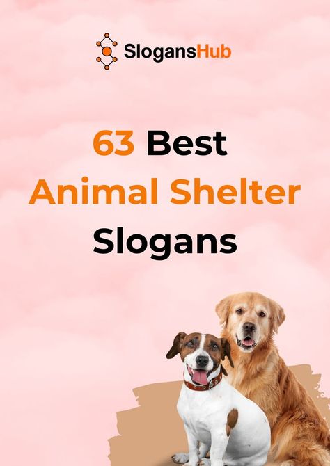 In our previous post about save animal slogans, we presented slogans that can be used in save animal campaigns. In this post, we are going to share with you 63+ best animal shelter slogans being used by existing animal shelters all around the world. #slogans #sloganshub #animalshelterslogans Animal Rescue Shelter, Animal Shelter Adoption Promotions, Animal Shelter Shirt Ideas, Animal Donation Poster, Animal Shelter Fundraiser Ideas Events, Pet Adoption Event Ideas, Animal Shelter Fundraiser Ideas, Animal Shelter Donation Ideas, Shelter Fundraiser Ideas