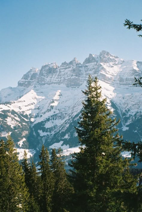 snowy mountains in Switzerland on 35mm film #nikon #swissmountains #swissbeauty #35mm #analoguemountains #kodak #filmisnotdead Mountains On Film, Cinematic Environment, Apocalypse Setting, Colorful Scenery, Dreamy Photos, Photography Concepts, Wide Eyes, Life On Film, Lockscreens Wallpapers