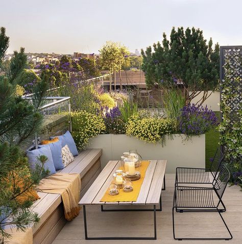 Ideas Terraza, Garden Design London, Roof Terrace Design, Roof Garden Design, Mews House, Rooftop Terrace Design, Terrace Design, Rooftop Garden, Garden Club