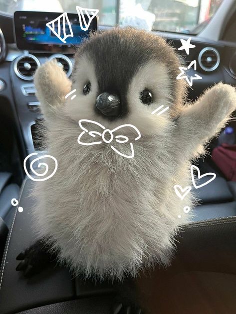 #animals #pets #petoftheday #cute #cuteanimals #cutebabyanimals #cutebunny #cuterabbit #bunnies #lapin Aesthetic Penguin Pfp, Penguin Icon Aesthetic, Edit Account Pfp, Wallpaper Pinguin, Cute Penguin Pfp, Aesthetic Penguin, Penguin Aesthetic, Penguin Pfp, Pfp Animal