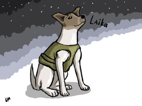 Laika Soviet Space Dogs, Belka And Strelka, Space Dogs, Space Hero, Space Dog, Fantasy Dress, Kurt Cobain, The Space, Drawing Reference