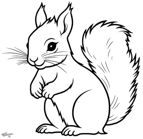 Cartoon Squirrel, فنسنت فان جوخ, Autumn Animals, Fall Drawings, Zen Doodle Patterns, Farm Animal Coloring Pages, Bunny Coloring Pages, Easy Doodles Drawings, Easy Drawings Sketches