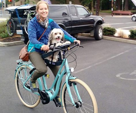 Dog Bicycle Seat Dog Bike Seat, Dog Bike Carrier, Dog Bike Basket, Dog Bike, Biking With Dog, Velo Vintage, Dog Basket, Dog Seat, Bicycle Seats