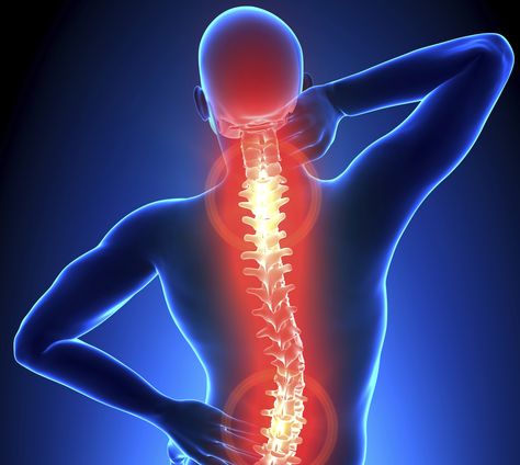 The Struggle Is Real - Back Pain — Steemit Spine Pain, Back Hurts, Neck And Back Pain, Chiropractic Care, Easy Yoga, Struggle Is Real, Yoga Postures, Low Back Pain, Back Pain Relief