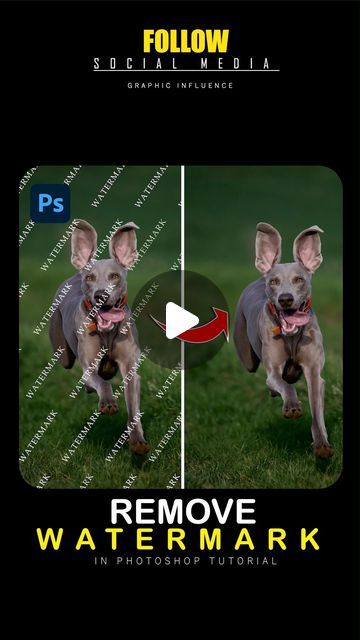 Graphic Designer on Instagram: "How to Remove Watermarks from any Image in Adobe Photoshop Image used in this video (Unsplash) . . . . Follow for more tutorial @GraphicInfluence01 . . Hashtag . . #photoshopskills #photoshoptips #photoshopart #photoshop2022 #photoshop #photoshop2023 #photoshop2024 #photoshopartist #photoshopedit #madewithphotoshop #digitalart #creative #photographymmetry #tipsandtricks #graphicdesign #graphics" Logos, Photoshop Editing Ideas, Photoshop Video Tutorials, Remove Watermark, Adobe Photoshop Tutorial, Photoshop Video, Effect Photoshop, App Landing Page, Photoshop Images
