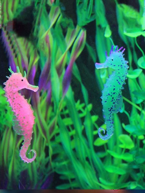 Seahorse Aquarium, Coral Accessories, Landscaping Decor, Seahorse Decor, Seahorse Design, Underwater Landscape, Sea Dragons, Glowing Effect, Sea Turtle Art