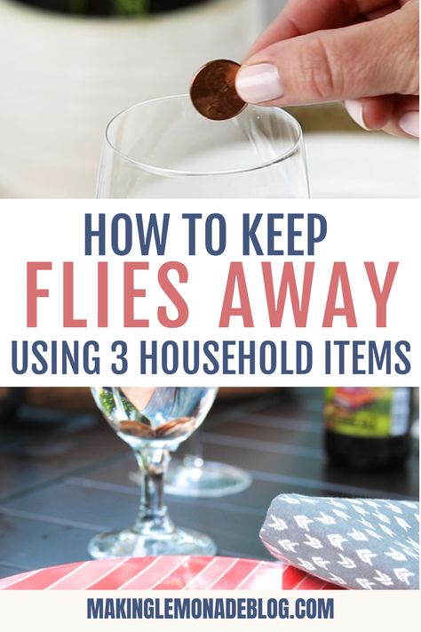 Learn how to use 3 things you already have at home to keep flies away outside. This hack for getting rid of flies outdoors will let you eat your meals in peace. Remedies For Flies In House, How To Keep Flies Off Food Outside, House Fly Repellent, Sewer Flies How To Get Rid Of, Deter Flies Outside, Catch Flies In House, Repel Flies Outdoors, Keep Flies Out Of House, Outdoor Fly Repellent