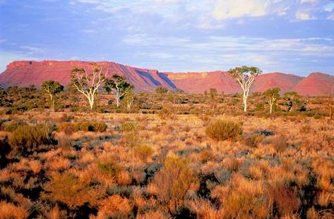 Alice Springs in the Australian outback - Mac Donnell Ranges Zoomerang Vbs, Australian Landscapes, Australia Landscape, Australian Photography, Australian Native Garden, Beautiful Desert, Zoom Background, Landscape Painting Tutorial, Red Sand