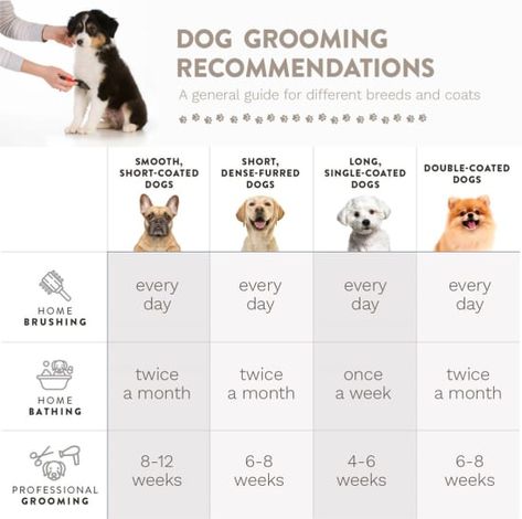 Post Image Dog Grooming At Home, Dog Grooming Salon Decor, Content Examples, Grooming Salons, Pet Grooming Business, Grooming Ideas, Dog Grooming Shop, Dog Bathroom, Dog Grooming Salons