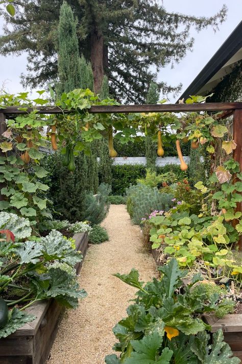 backyard vegetable garden arbor Beds Wood, Gardener Aesthetic, Edible Landscape, Winter Veggies, Backyard Farm, Victory Garden, Potager Garden, Garden Arbor, Veg Garden