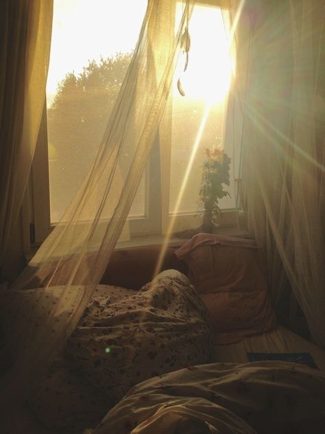 Warmed by the glow of the sun. | 39 Places You Want To Sleep Right Now Christmas Aesthetic Wallpaper, Through The Window, Morning Light, Decoration Design, Wallpaper Aesthetic, Light And Shadow, Outdoor Bed, Ramen, Aesthetic Wallpapers