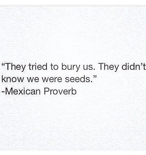 Mexican pride Roots Quotes, Mexican Proverb, Mexican Pride, Pride Quotes, Mexican Humor, Empowerment Quotes, Feb 2, Just Smile, Encouragement Quotes