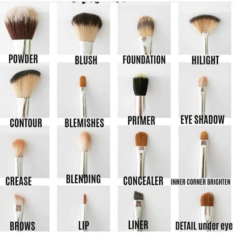 Types Of Makeup Brushes, Makeup Brush Uses, Membentuk Alis, Bentuk Alis, Mekap Mata, Make Up Foundation, Brush Guide, Contouring Makeup, Makeup Order