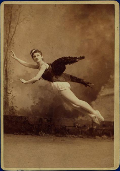 Vintage Circus, Vintage Portraits, New York Public Library, Weird And Wonderful, Antique Photos, Past Life, Vintage Photographs, Vintage Photography, Old Pictures