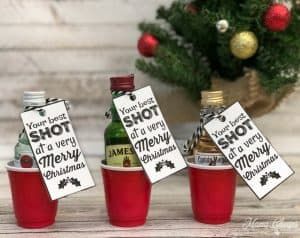 Christmas Alcohol Gifts, Funny Office Gifts, Christmas Shots, Liquor Gifts, Merry Christmas Tags, Mini Liquor Bottles, Party Favors For Adults, Small Christmas Gifts, A Very Merry Christmas