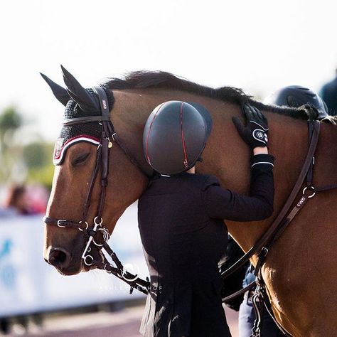 hotograph not what it looks like, rather what it feels like 🖤  #wef2019 #showjumping #love @tourwifetravel Bay Horse Jumping, Horse Head Drawing, Horse Riding Aesthetic, Show Jumping Horses, Equestrian Aesthetic, Bay Horse, Horse Aesthetic, Dressage Horses, Equestrian Sports