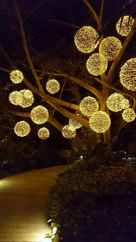 Tree lanterns Exterior Christmas Decorations, Exterior Christmas Lights, Outdoor Tree Lighting, Tree Lanterns, Diwali Lights, Outdoor Trees, Backyard Lighting, Rustic Christmas Tree, Ball Lights