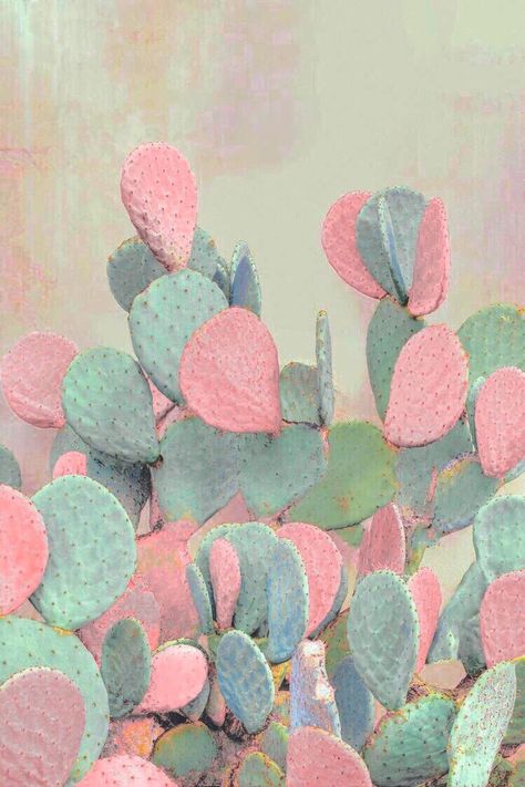 dental babes love desert vibes! Bd Design, Cactus Wedding, Blue Cactus, Cactus Painting, Desert Vibes, Cactus Art, Pastel Wallpaper, Foto Inspiration, Pics Art