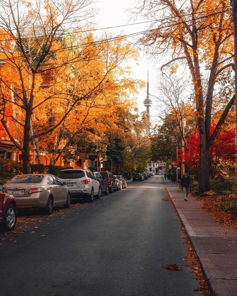 Fall in Toronto Nature, Downtown Halifax, Toronto Ontario Canada, Autumn Scenery, Fall Feels, Autumn Beauty, Fall Pictures, Best Seasons, Autumn Cozy