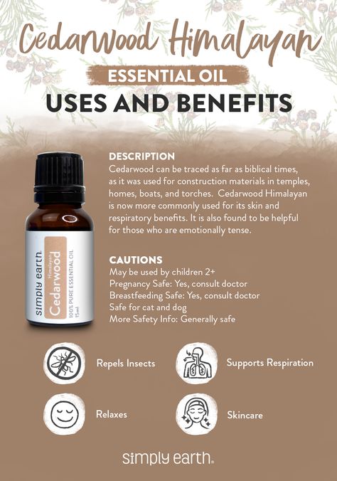 Essential oil tried and tested for decades? I love that Cedarwood Essential Oil is kid friendly. I like to use it to replace Eucalyptus Essential Oil to help support my daughter’s breathing when she has a cold. Ceaderwood Essential Oil Benefits, Cedarwood Essential Oil Young Living, Cedarwood Essential Oil Benefits, Cedarwood Essential Oil Uses, Sleep Diffuser Blends, Young Living Cedarwood, Essential Oils Properties, Diffuser Blends Young Living, Esential Oils