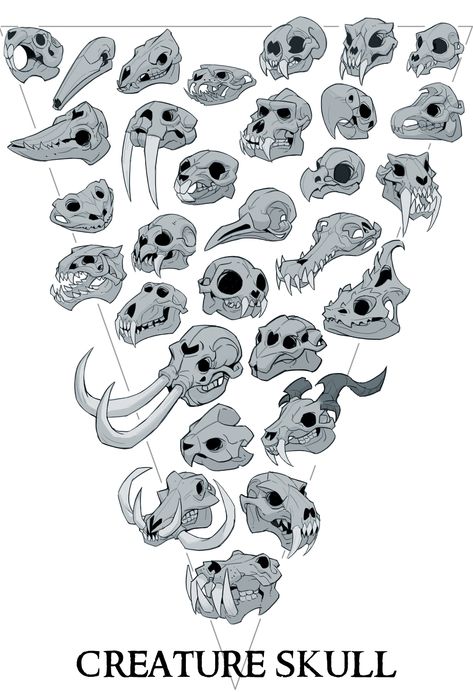 ArtStation - creature skull Animal Skull Drawing, Animal Skeletons, Perfect Tattoo, Monster Concept Art, 캐릭터 드로잉, Creature Drawings, Skull Drawing, Concept Art Drawing, Monster Design