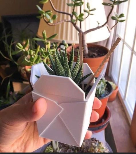 Ceramic Chinese Takeout, Awesome 3d Prints, 3d Print Container, 3d Print Garden, 3d Printed Organization, 3d Printing Gifts, 3d Printed Gifts For Her, Cute Things To 3d Print, Creative Pots For Plants