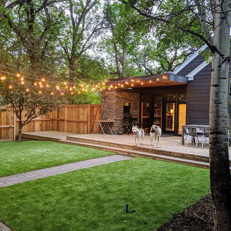 Pet Friendly Yard, Artificial Grass Backyard, Turf Backyard, Dog Friendly Backyard, Dog Backyard, Synthetic Lawn, No Grass Backyard, Dog Yard, Front Yard Design