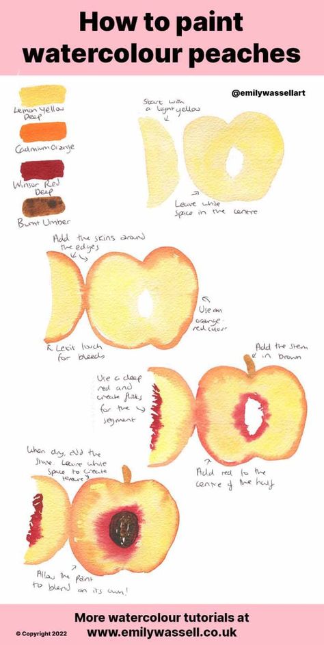 How To Paint A Peach, Watercolor Peach Tutorial, Peach Crafts, Watercolour Step By Step, Peach Paint Colors, Peach Drawing, Peach Painting, Watercolour Tutorial, Peach Paint