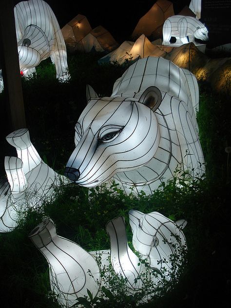 Polar bear lanterns. Willow Lanterns, Asian Lanterns, Polar Bear Cubs, Tissue Paper Lanterns, Chinese Lantern Festival, East Of The Sun, Hanging Craft Ideas, Light Festival, Lantern Ideas