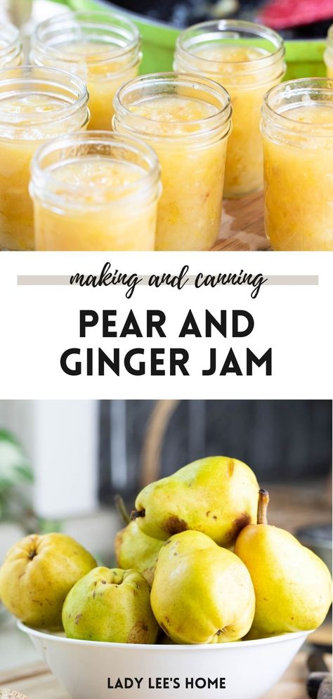 Follow this simple recipe to make and can pear ginger jam. This is a great way to use and preserve pears. Pear Perserves Recipes Canning 101, Preserve Pears, Ginger Jam Recipe, Canning Fruit Recipes, Pickled Pears, Preserving Fruit, Canning Pears, Pear Preserves, Water Bath Canning Recipes