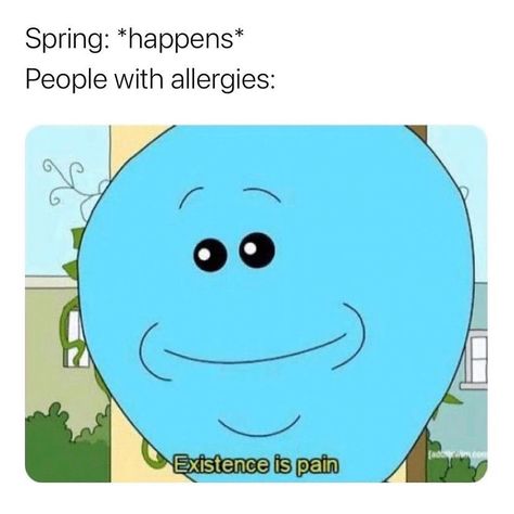 daily memes 💫 on Instagram: “allergies suck” Doordash Gift Card, Fuuny Memes, Happy Meme, Pretty Meme, Memes Life, True Memes, Memes Hilarious, Fresh Memes, Hilarious Memes