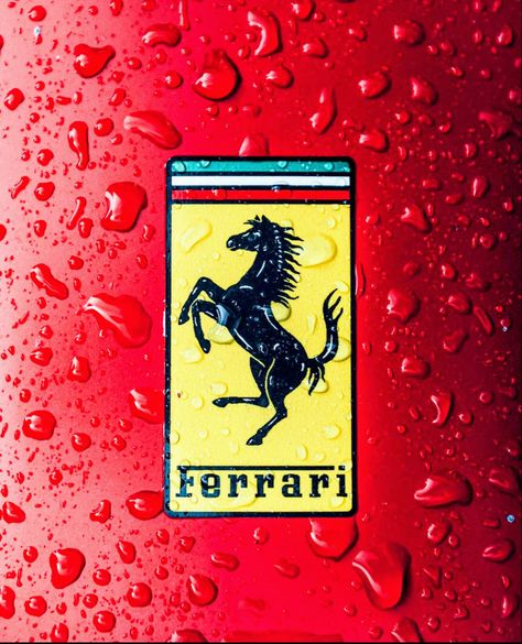 Ferrari Rouge, Scuderia Ferrari Logo, Mercedes Petronas, Jdm Girls, Ferrari Vintage, Belgian Grand Prix, F1 Wallpaper Hd, Ferrari World, Formula Uno