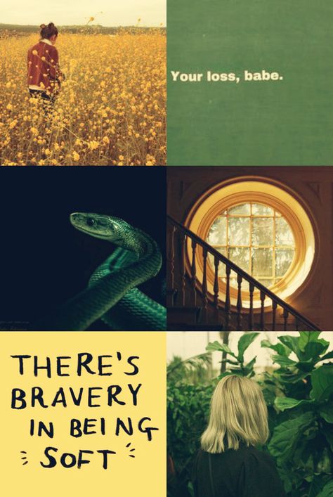 Slytherpuff Couple Aesthetic, Hufflepuff Slytherin Aesthetic, Slythpuff Aesthetic, Hufflepuff Slytherin Couple, Slytherin And Hufflepuff Aesthetic, Slytherpuff Wallpaper, Slytherin X Hufflepuff Aesthetic, Hufflepuff X Slytherin Couple Aesthetic, Hufflepuff And Slytherin Relationship