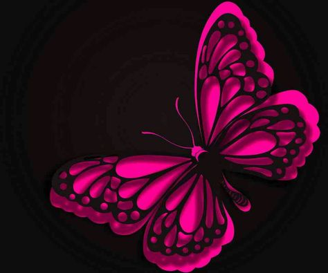 Love it pink and black butterfly!!! Stephanie Wallpaper Name, Pink And Black Butterfly, Hot Pink Butterfly, Butterfly Wallpapers, Black Butterflies, Pink Mobile, Love Butterflies, Butterfly Background, Butterfly Images