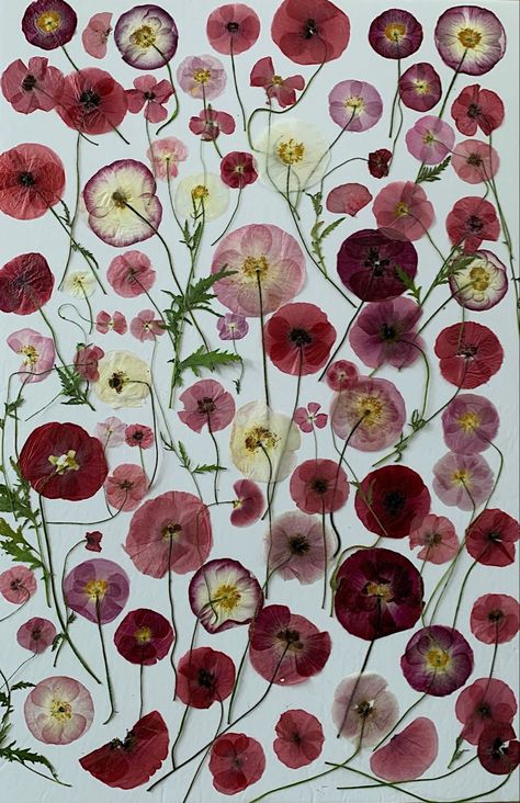 Red Pressed Flowers, Pressed Flowers Collage, Pressed Flower Collage, Flowers Collage, Aesthetic Diy, Flower Collage, Flower Skirt, Pressed Flower, Red Aesthetic